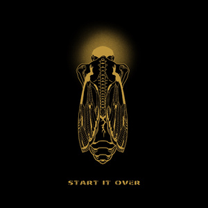 国产女主播白浆在线看
